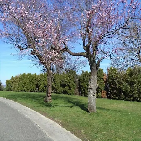 Castel Sainte Marie - Bed & Breakfast 2*